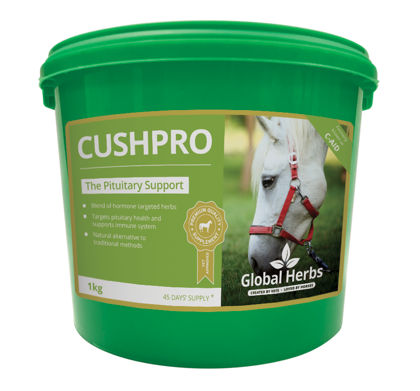 Global Herbs Cush Pro 1kg for Horses - Wellbeing Pets