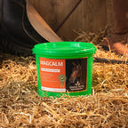 Global Herbs MagCalm for Horses - image 3 - Wellbeing Pets
