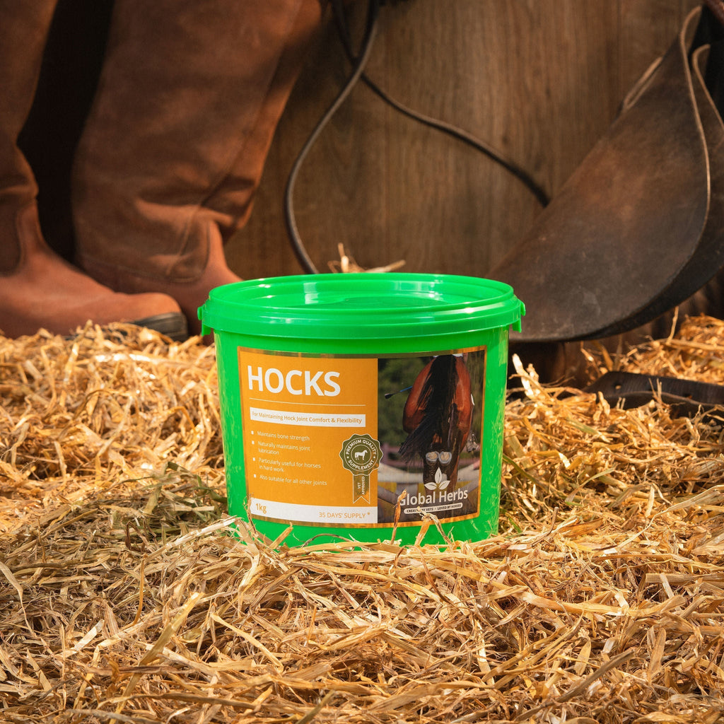 Global Herbs Hocks 1kg for Horses - image 2 - Wellbeing Pets