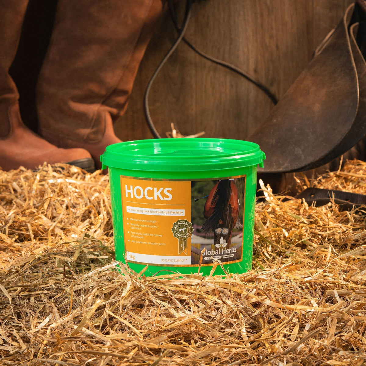 Global Herbs Hocks 1kg for Horses - image 2 - Wellbeing Pets