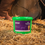 Global Herbs MSM 1kg for Horses - image 2 - Wellbeing Pets