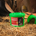 Global Herbs Gut Support for Horses - image 3 - Wellbeing Pets