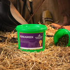Global Herbs Fenugreek 1kg for Horses - image 2 - Wellbeing Pets