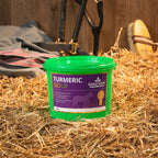 Global Herbs Turmeric for Horses - image 3 - Wellbeing Pets