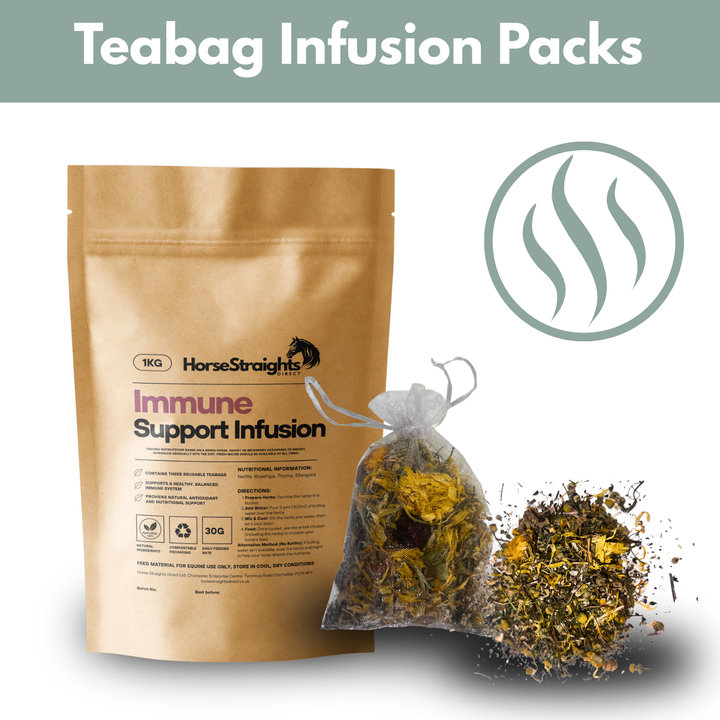 Immune Support Infusion for Horses