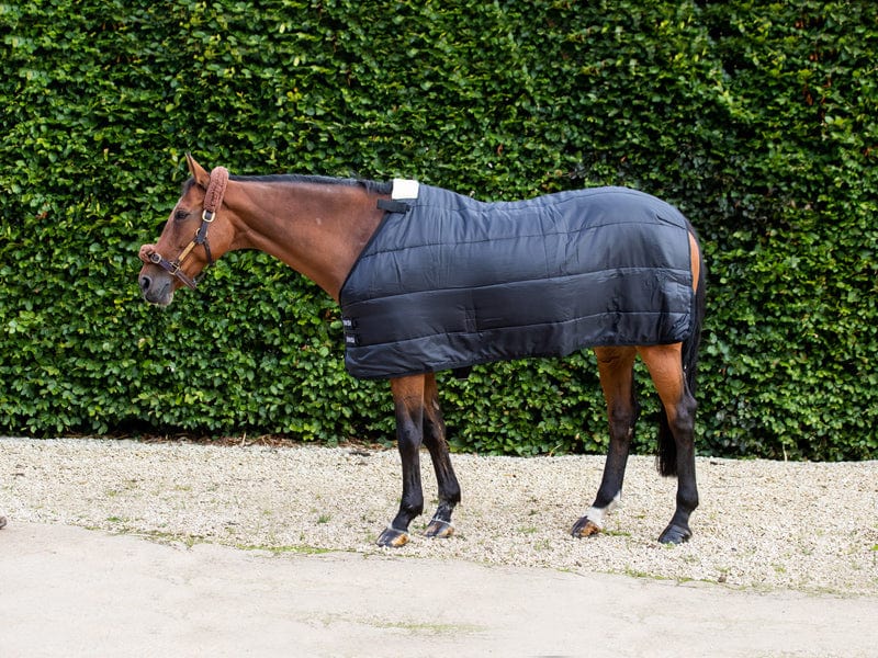 50g Horse Rug Liner - Wellbeing Pets