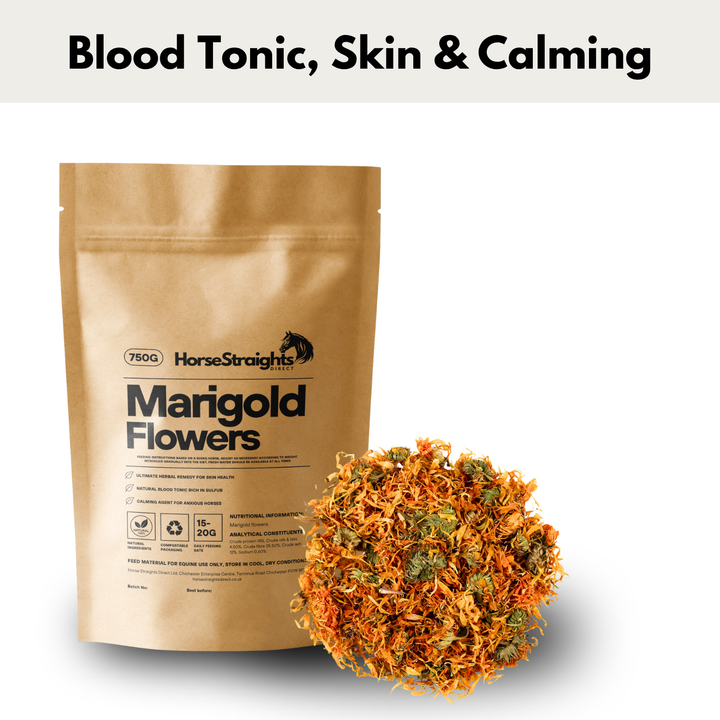 Marigold Flowers for Horses