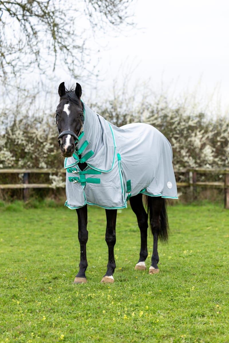 Mesh Fly Rug - Grey/Green - image 2 - Wellbeing Pets