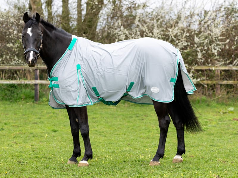 Mesh Fly Rug - Grey/Green - image 3 - Wellbeing Pets