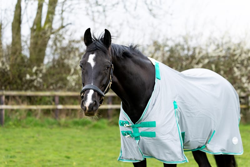 Mesh Fly Rug - Grey/Green - image 4 - Wellbeing Pets
