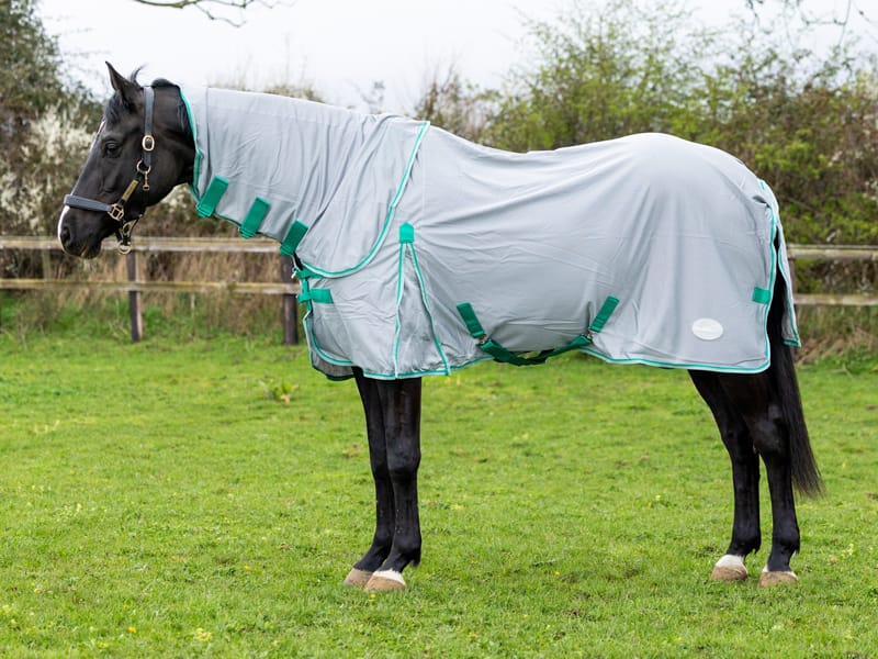 Mesh Fly Rug - Grey/Green - Wellbeing Pets