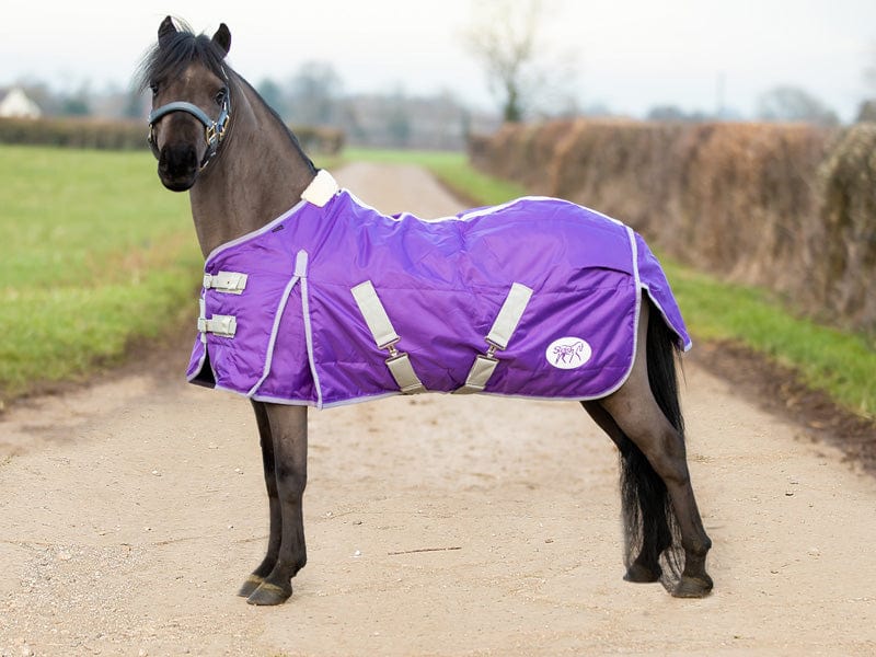 Mini 100g Stable Rug - Purple - Wellbeing Pets