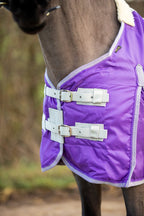 Mini 100g Stable Rug - Purple - image 2 - Wellbeing Pets