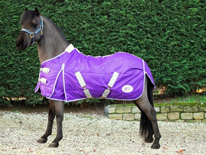 Mini 100g Stable Rug - Purple - image 4 - Wellbeing Pets