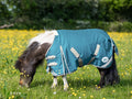 MINI 100g Turnout Rug - Turquoise - Wellbeing Pets