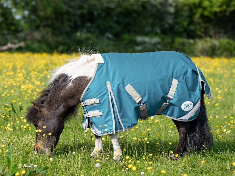 MINI 0g Turnout Rug - Turquoise - Wellbeing Pets