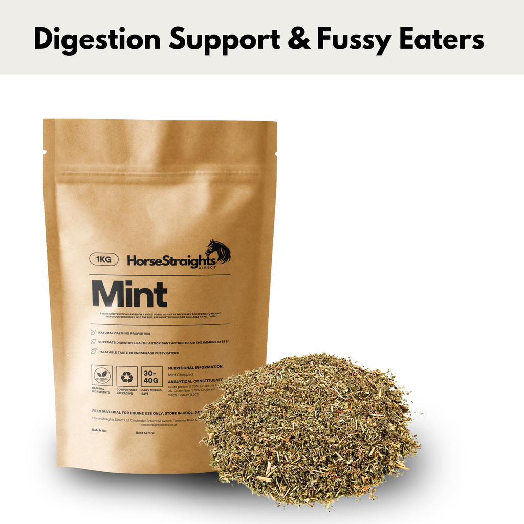 Mint for Horses | Dried Equine Herb - Wellbeing Pets