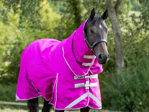 200G FIXED Neck Turnout Rug - Mulberry - image 2 - Wellbeing Pets