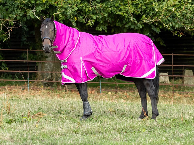 200G FIXED Neck Turnout Rug - Mulberry - Wellbeing Pets