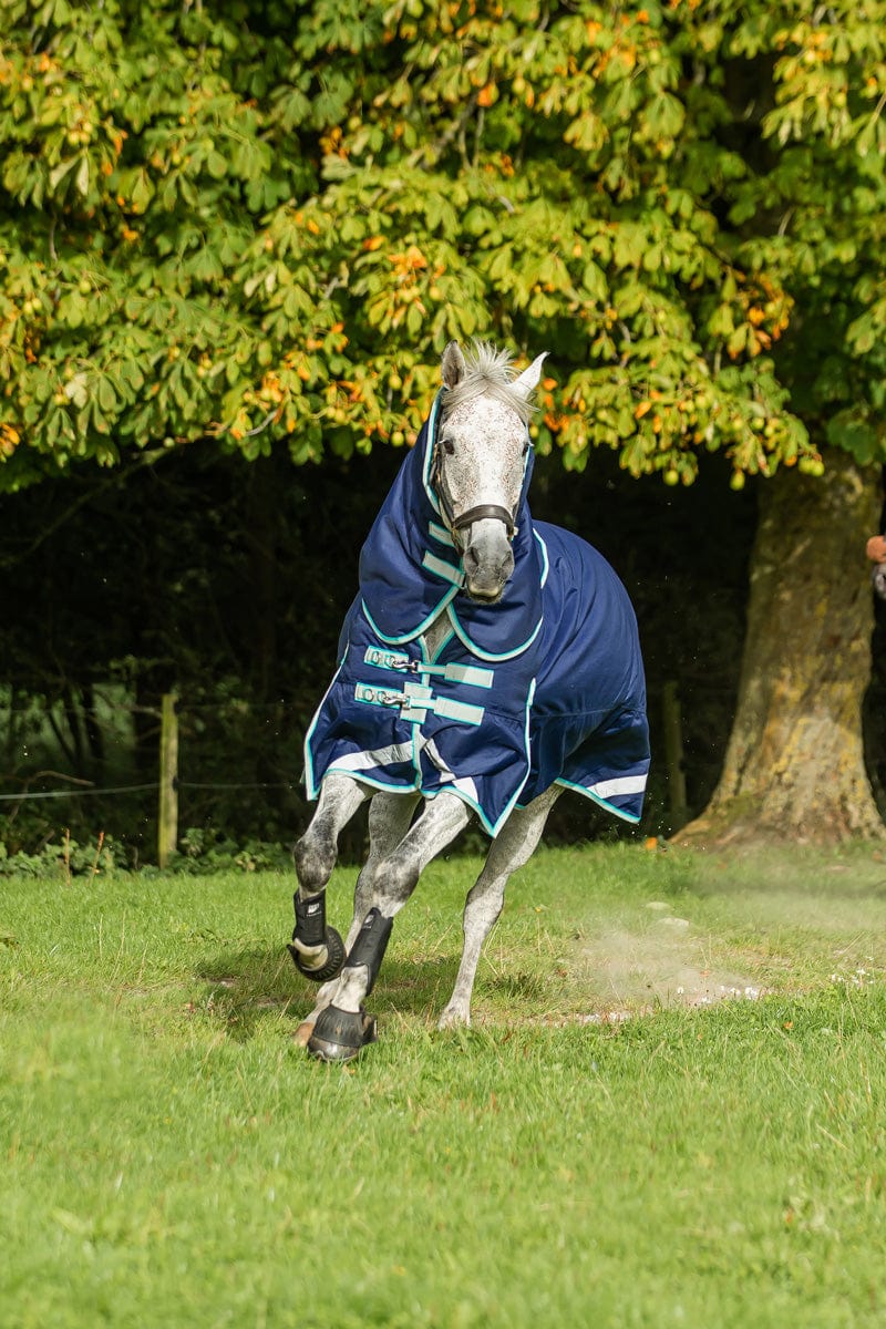 450g Ultimate Heavyweight Turnout Rug With Detachable Neck - Navy - image 2 - Wellbeing Pets