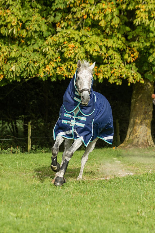 450g Ultimate Heavyweight Turnout Rug With Detachable Neck - Navy - image 2 - Wellbeing Pets