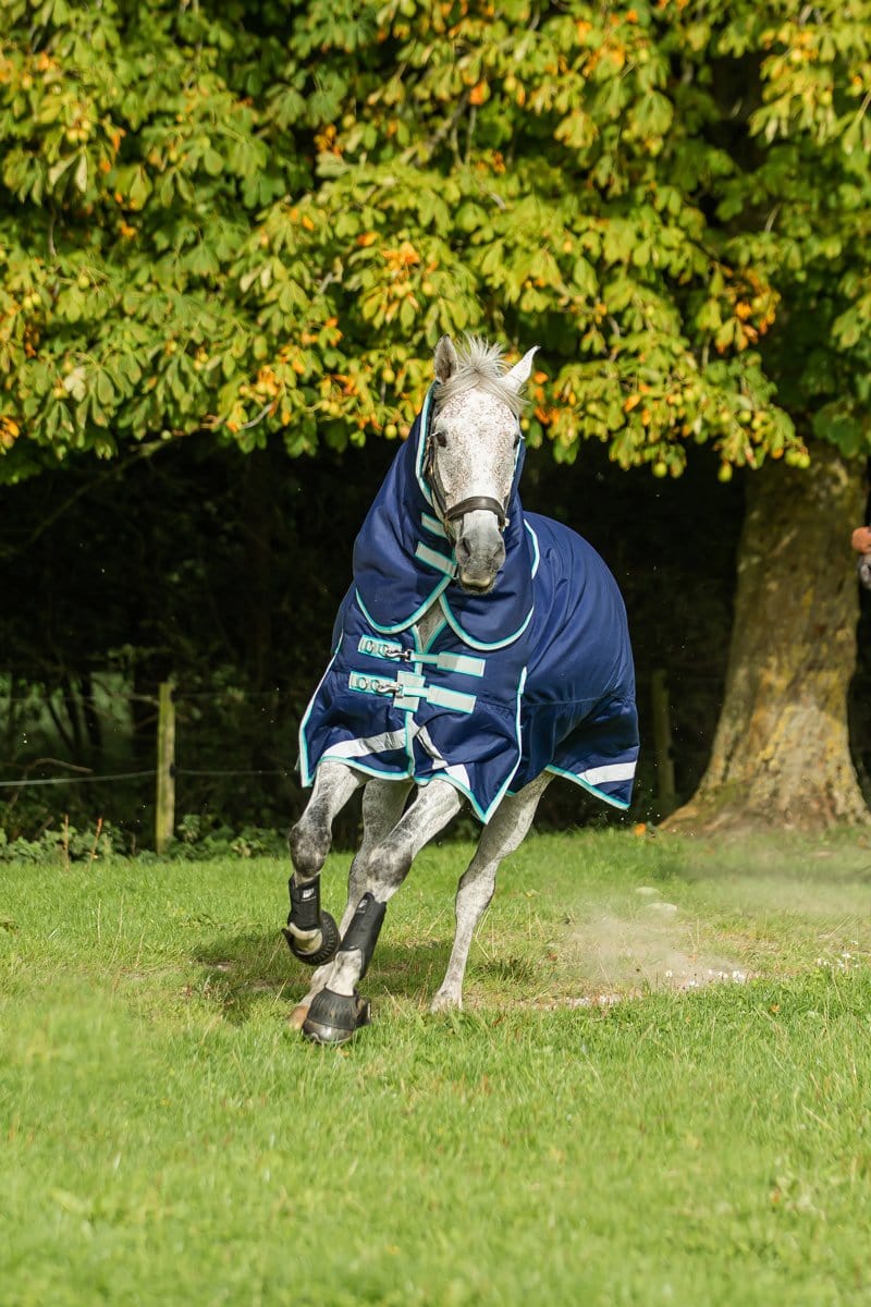 100g Detachable Neck Turnout Rug - Navy - image 5 - Wellbeing Pets