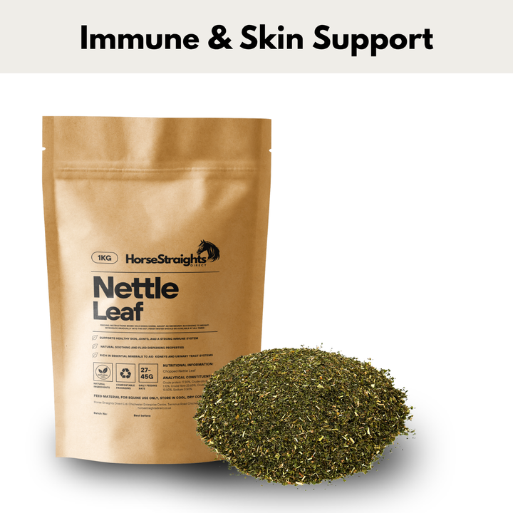 Nettle Leaf for Horses