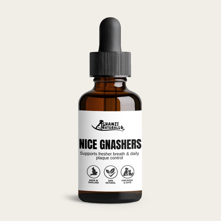 Nice Gnashers Dental Tincture for Dogs & Cats