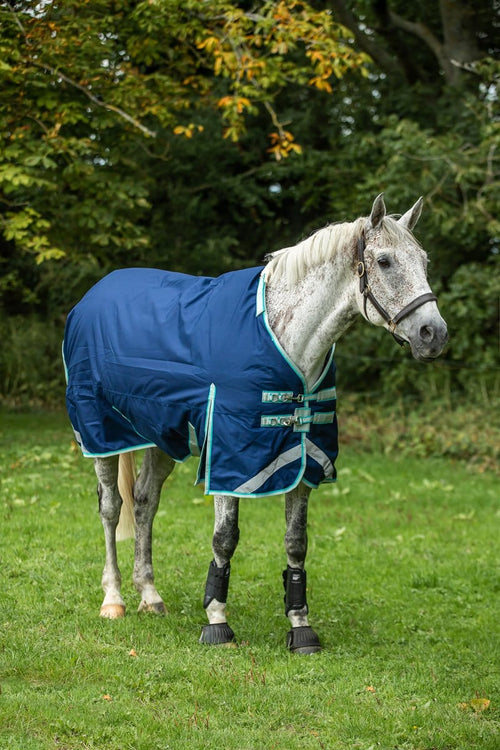 0g Detachable Neck Turnout Rug - Navy - image 2 - Wellbeing Pets