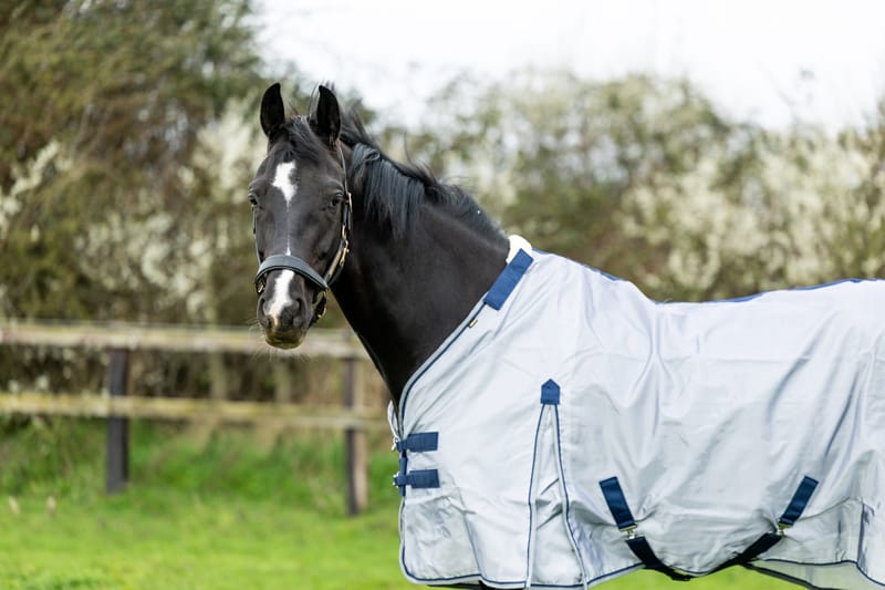 Nylon Fly Cool Rug - Grey/Navy - image 4 - Wellbeing Pets