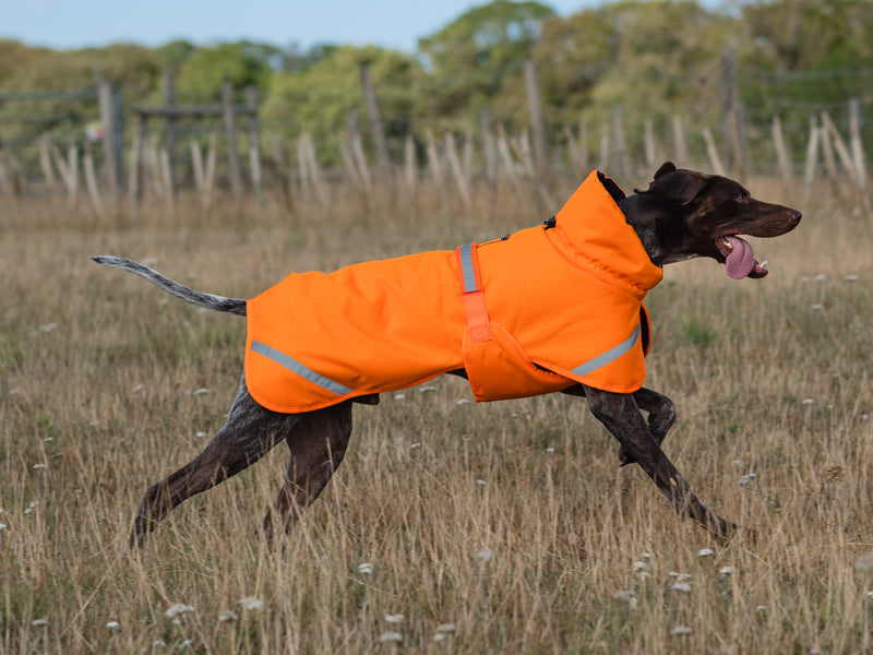 Luxe Waterproof Dog Coat 0g - Orange High Viz - image 6 - Wellbeing Pets