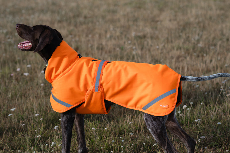 Luxe Waterproof Dog Coat 0g - Orange High Viz - image 5 - Wellbeing Pets
