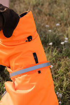 Luxe Waterproof Dog Coat 0g - Orange High Viz - image 4 - Wellbeing Pets