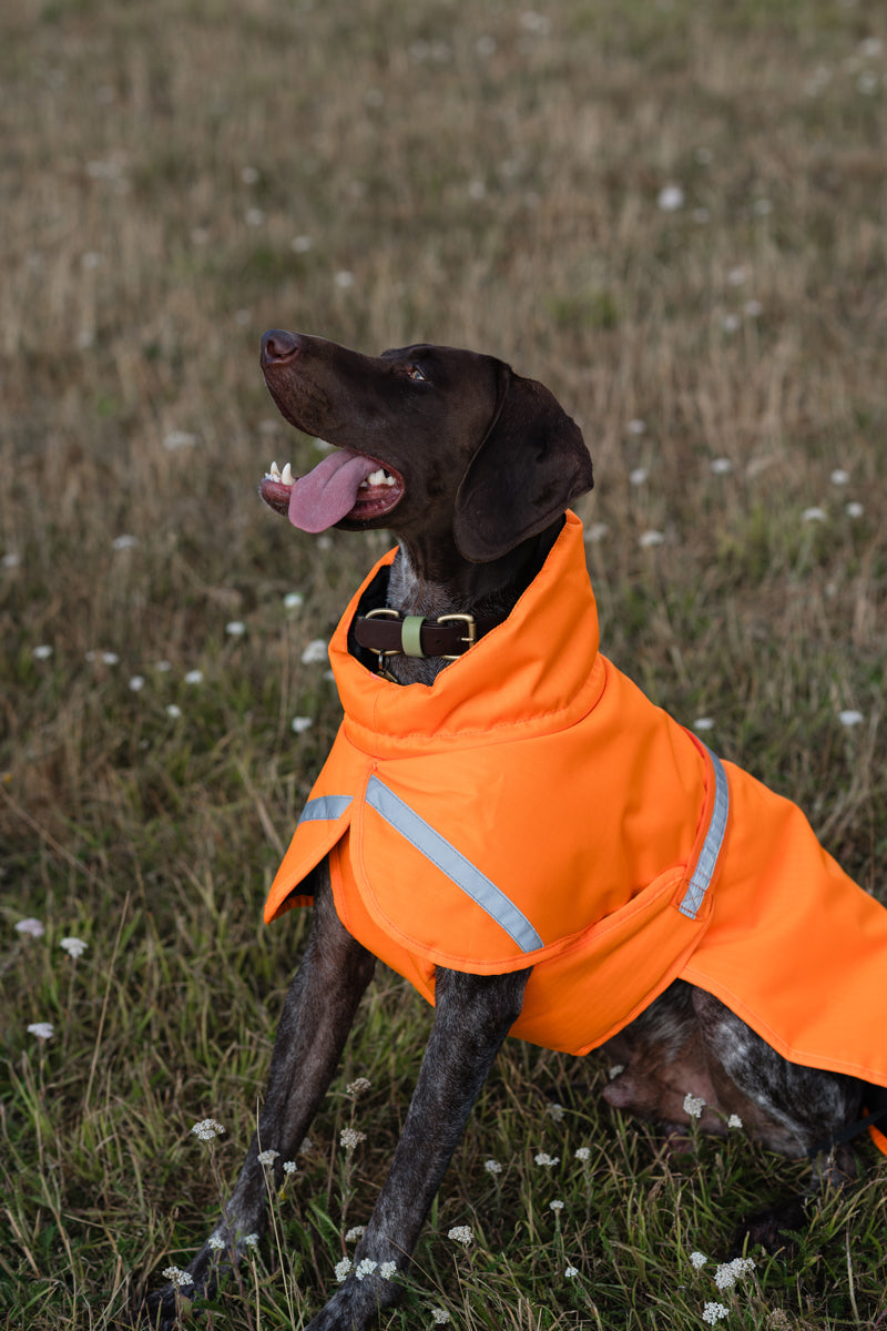 Luxe Waterproof Dog Coat 0g - Orange High Viz - image 3 - Wellbeing Pets