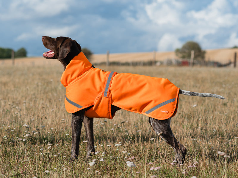 Luxe Waterproof Dog Coat 0g - Orange High Viz - Wellbeing Pets