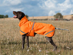 Luxe Waterproof Dog Coat 0g - Orange High Viz - Wellbeing Pets