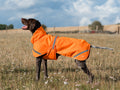 Luxe Waterproof Dog Coat 250g - Orange High Viz - Wellbeing Pets