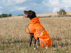 Luxe Waterproof Dog Coat 250g - Orange High Viz - image 2 - Wellbeing Pets