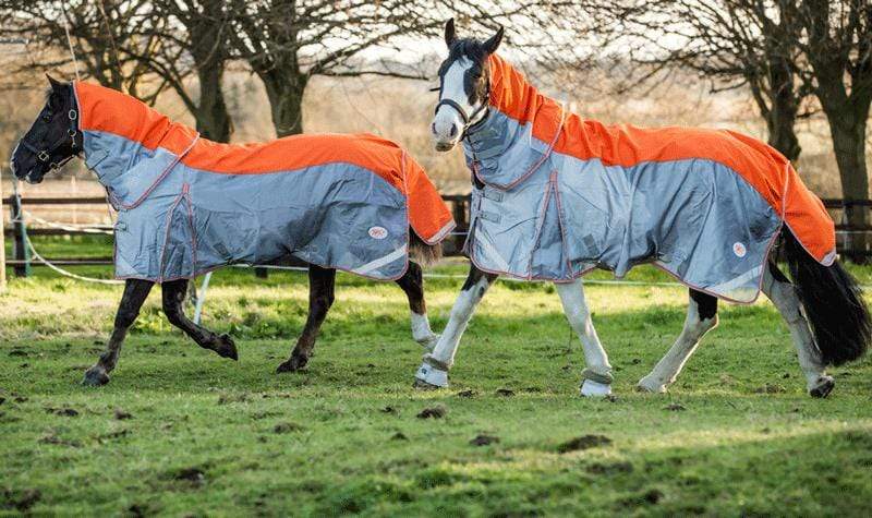 Fly Turnout Combination Rug - Orange - image 5 - Wellbeing Pets