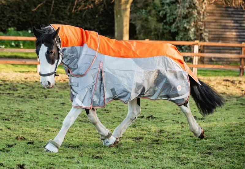 Fly Turnout Combination Rug - Orange - image 6 - Wellbeing Pets