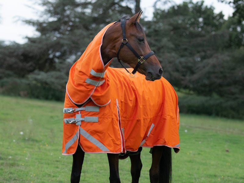 200G Detachable Neck Turnout Rug - Orange - image 3 - Wellbeing Pets