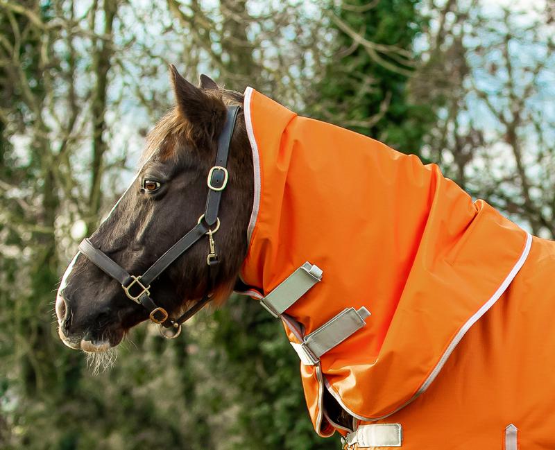 50g Orange Turnout Rug Neck Cover - Wellbeing Pets