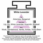 Pairfum London Luxury Reed Diffuser ‘eau de parfum’ 100 ml White Lavender - 10 Black Reeds