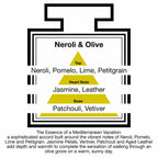 Pairfum London Luxury Reed Diffuser ‘eau de parfum’ 50 ml - Neroli & Olive- 10 Black Reeds
