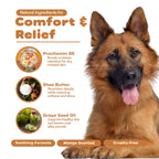 P.E.T. Scratchiez Soothing Oatmeal & Aloe Conditioner for Dogs & Cats — Mango Coconut, 16 oz product image