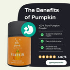 Pumpkin Powder for Dogs | Digestive Fibre by The Pets Larder – image 2