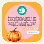 Pumpkin Powder for Dogs | Digestive Fibre by The Pets Larder – image 6