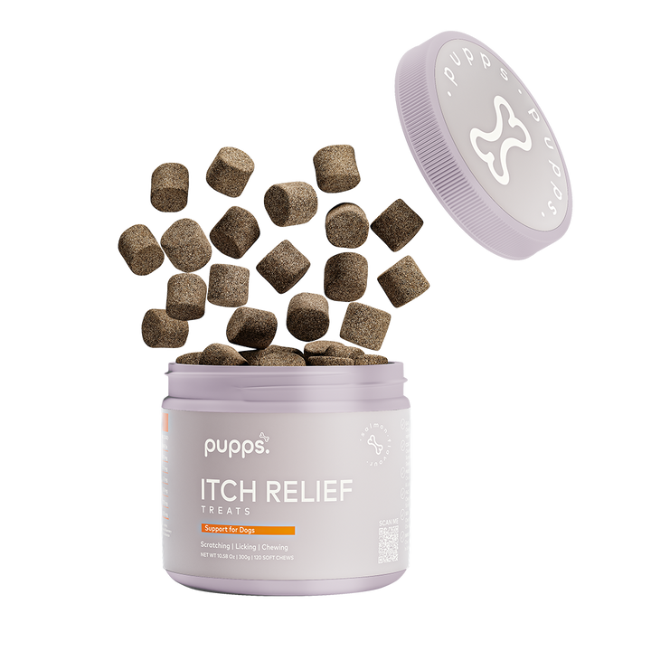 Itch Relief Treats for Dogs