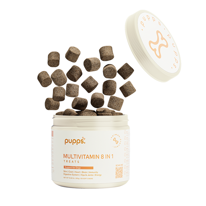 Multivitamin Treats for Dogs