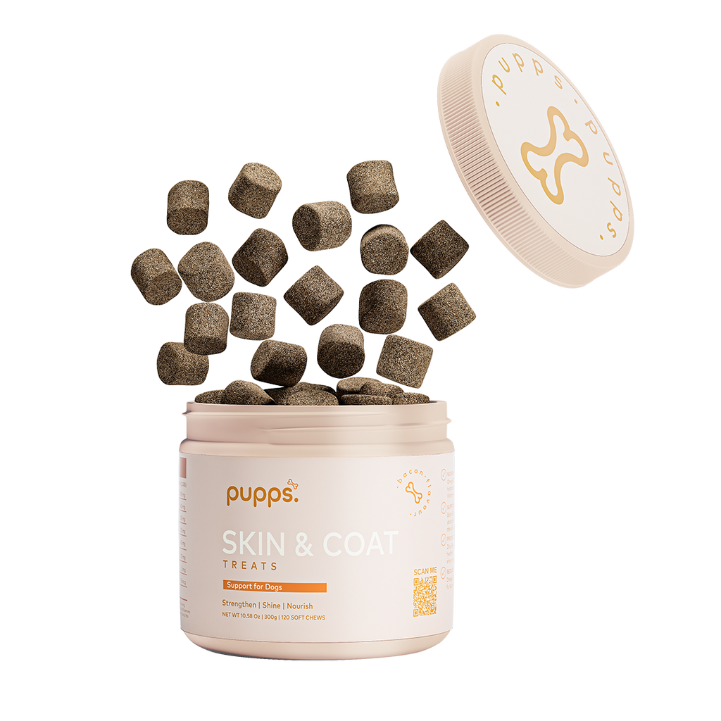 Skin & Coat Treats for Dogs by Pupps – image 1